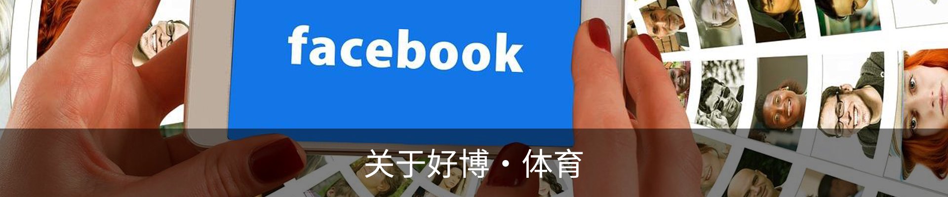 关于好博·体育